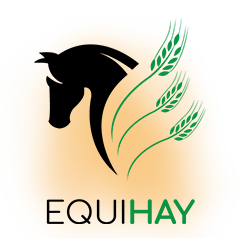 EquiHay is a full-service hay management company, providing the top quality hay for the diverse equestrian community.