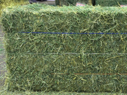 straw for sale near me craigslist